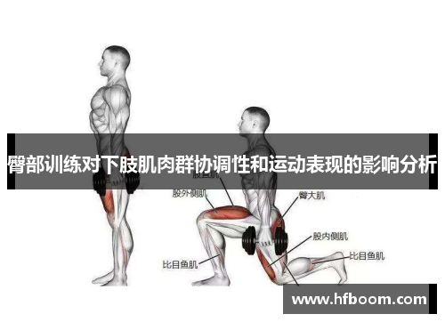 臀部训练对下肢肌肉群协调性和运动表现的影响分析